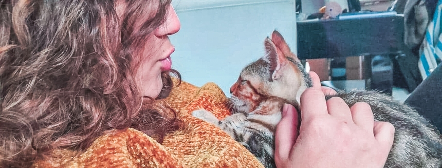Vivre chez ses chats : adoption en SPA, recueillir des chatons sauvages, mes conseils pour adopter !